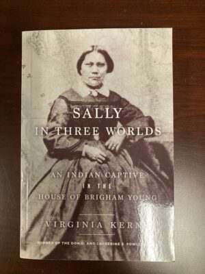 Sally in Three Worlds Book Cover