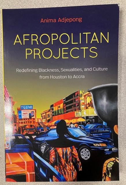 Afropolitan Projects